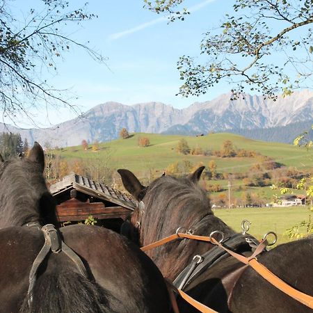Ferienwohnung Oberdeutinghof Saalfelden Exterior foto