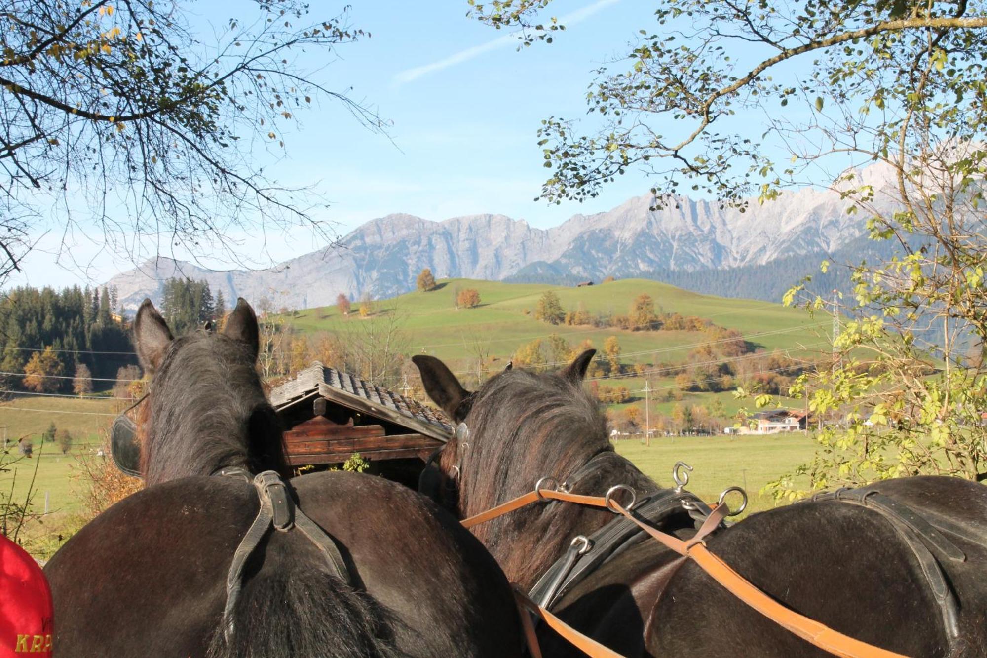 Ferienwohnung Oberdeutinghof Saalfelden Exterior foto